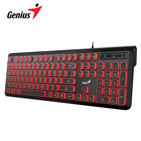 TECLADO GENIUS SLIMSTAR 260 USB BLACK SP (31310013405)