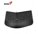 TECLADO GENIUS ERGO KB-700 C/TECLA COPILOT USB SP BLACK (31310053401)