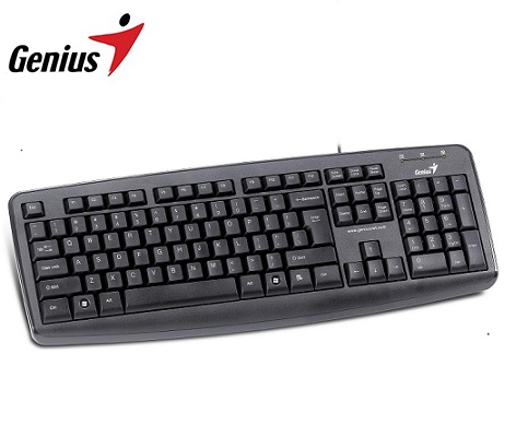 TECLADO GENIUS KB-110X USB ESPAOL BLACK (PN 31300711101)